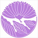 桐谷デザイン姫菊カラー紫