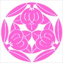 桐谷デザイン美しいレースショーツ桃