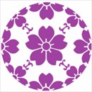 カラフルなレースショーツ紫
