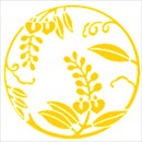 カラフルなレースショーツ黄